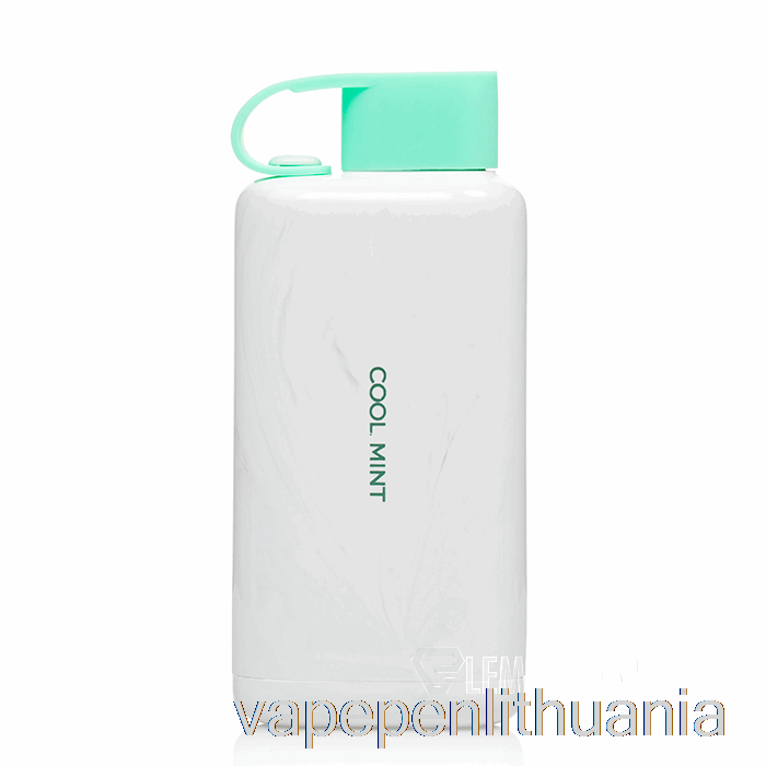 Vozol Star 9000 Vienkartinis šaltas Mėtų Vape Skystis